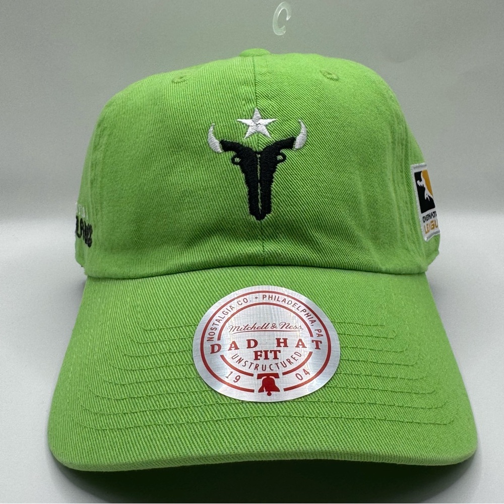 Mitchell & Ness Overwatch League Houston Outlaws Light Green Strapback Dad Hat